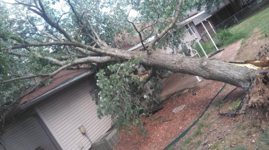 Storm-fallen tree resting across the roof of a house, ready for removal