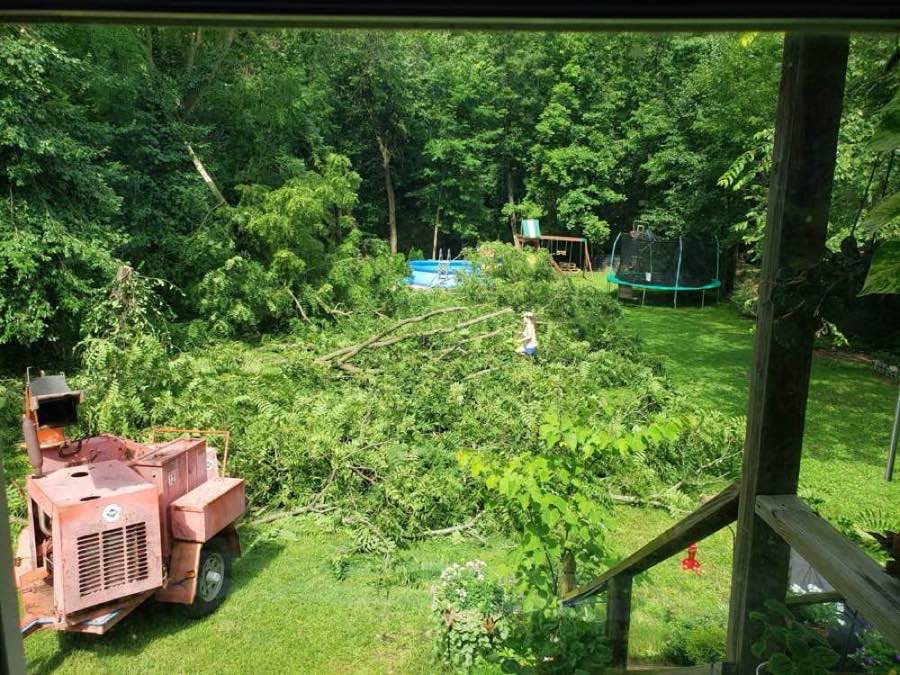 Large tree dropped in a backyard with the chipper staged for cleanup